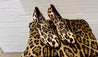 Dolce & Gabbana Pumps