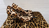 Dolce & Gabbana Pumps